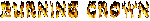 BURNINGCROWN